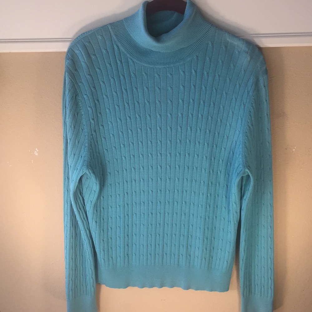 Peck & Peck Blue Sweater Size PL